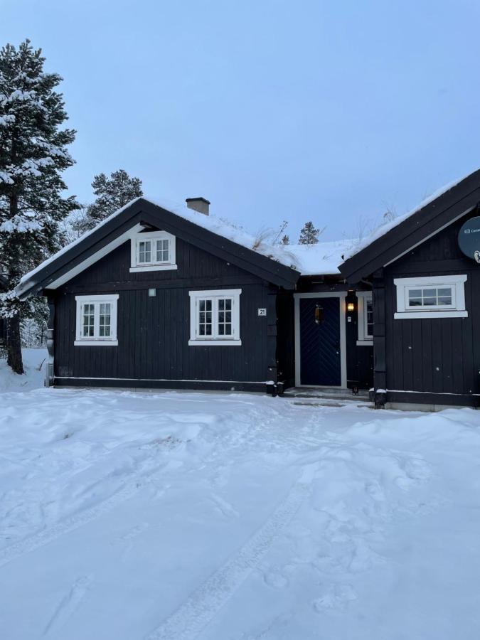 Hytte I Nydelige Jotunhemen - Rett Ved Besseggen Randsverk Exteriér fotografie